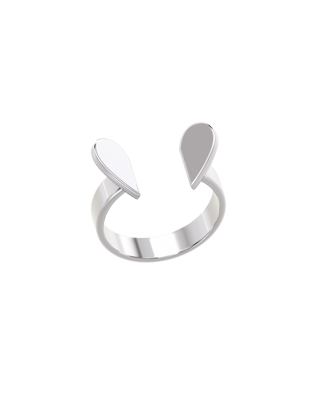 Spotkanie z pierścieniem serca